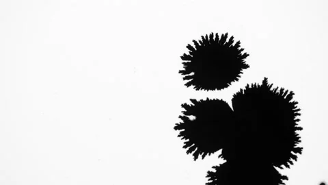 Black ink splatter on white background. Stock Footage 160855858