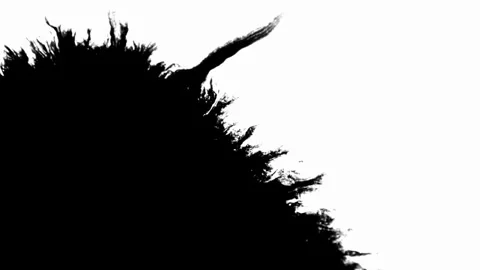 Black ink spots spreading and bleeding on white surface Stock Footage 329667341