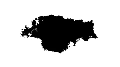 Black Ink Spread and Bloom on White Background with Grunge Fluid Transition 4K Stock Footage 311117763