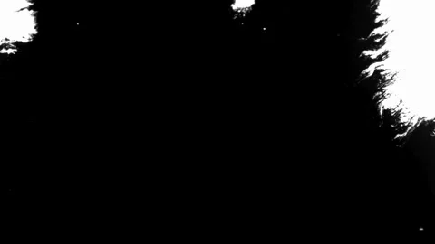 Black ink spreading and bleeding onto a white surface Stock Footage 329667665
