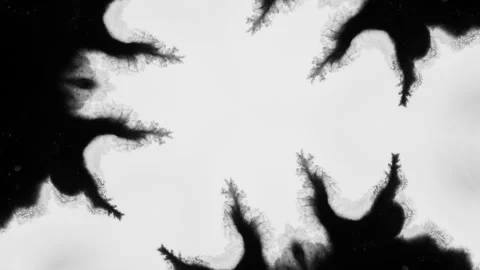 Black Ink Spreading In Fractal-like Pattern On White Background. abstract Stock Footage 316720033
