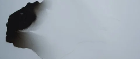 Black ink spreading to the side on canvas Vidéo 101666230