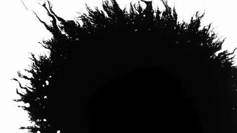 Black ink spreads on white background creating organic shapes Stock Footage 329667486