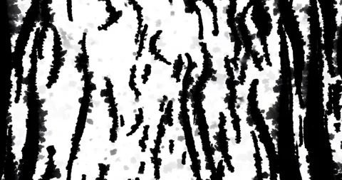 Black Ink Streaks Covering Frame, Organic Luma Matte Seamless Loop Stock Footage 343581273