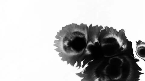 Black inks drops Stock Footage 219993771