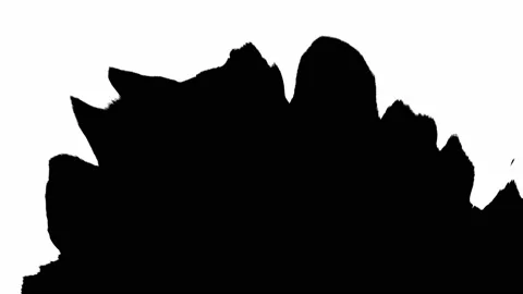 Black inks drops on white background. Drop white ink spreads Stock Footage 199772864