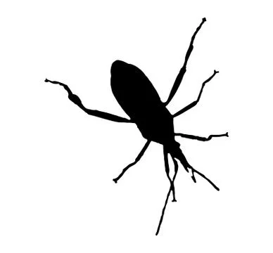 Black insect icon 库存插图