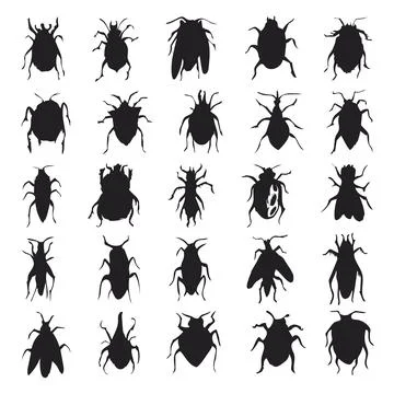 Black insect silhouettes vector icon set collection Stock Illustration