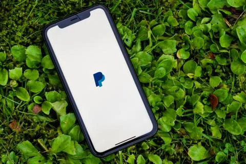 Black iphone with logo of PayPal application on the screen. Stock Photos