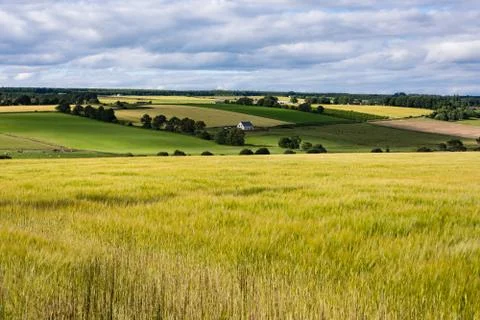 Black Isle Stock Photos