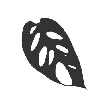 Black isolated silhouette of leaf of monstera adansonii on white background. Stock Illustration