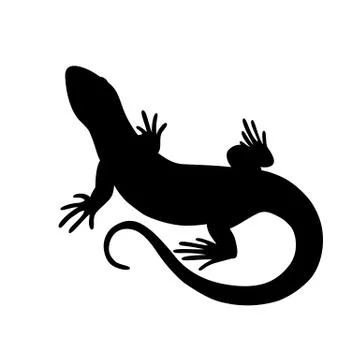 Black isolated silhouette of lizard on white background. Stock Illustration
