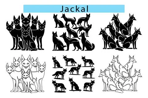 Black Jackal outline vector illustration, Jackal silhouette vector art 스톡 일러스트