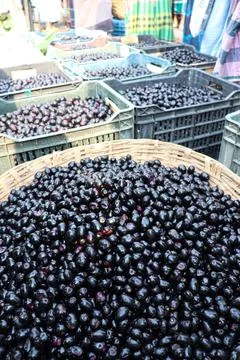 Black java plum stock on shop Stock Photos