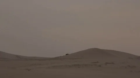 Black Jeep driving up and down Sand Dunes Stock Footage 72549129