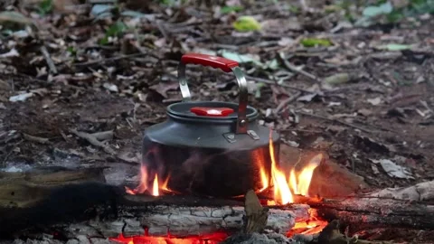 Black kettle sits over blazing fire in the forest, creating an outdoor cooking a Stock Footage 343698976