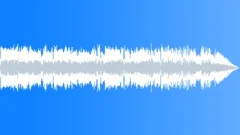 Black Keys Style Energetic Riff Rock Chorus Stock Music