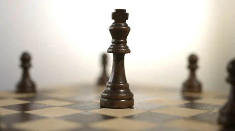 Black King Stock Footage 51519847