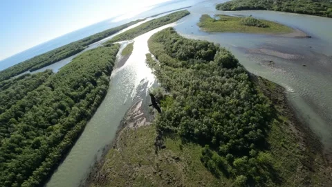 Black kite (bird) flying over river and forest, mountains and city background Stock Footage 201077259