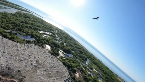 Black kite (bird) flying over river and forest, mountains and city background Stock Footage 201078852
