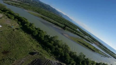 Black kite (bird) flying over river and forest, mountains and city background Stock Footage 201080658
