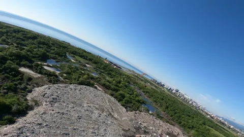 Black kite (bird) flying over river and forest, mountains and city background Stock Footage 201081179