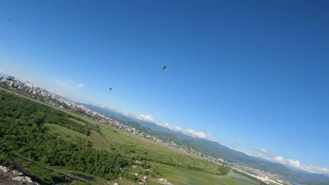 Black kite (bird) flying over river and forest, mountains and city background Stock Footage 201081569