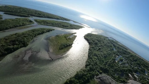 Black kite (bird) flying over river and forest, mountains and city background Stock Footage 201082066