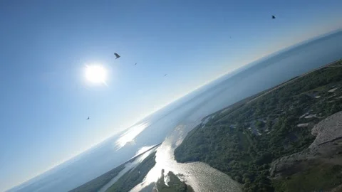 Black kite (bird) flying over river and forest, mountains and city background Stock Footage 201083471