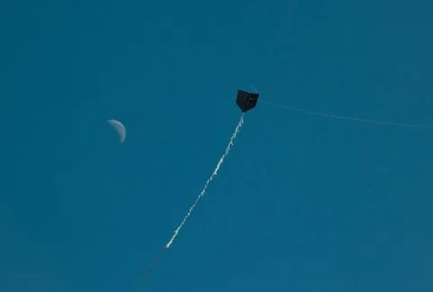 Black kite flying with the moon Stock Photos