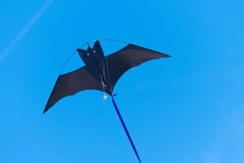 Black kite in the sky Stock Photos