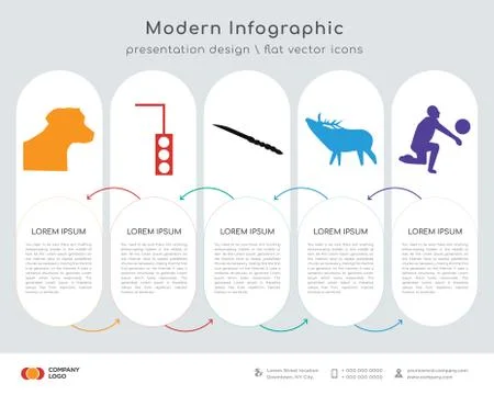 Black lab head infographics design Illustrazione stock