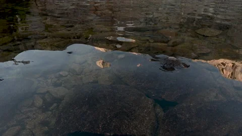 Black Lake Mountain Reflections Vídeos de archivo 147690969