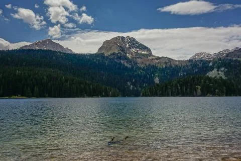 The Black lake with mountainrange in background in Durmitor National Park Stock Photos