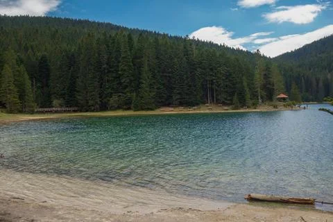 The Black lake surrounded by pine forest in Durmitor National Park, Zabljak Stock Photos