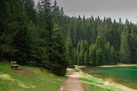 The Black lake surrounded by pine forest in Durmitor National Park, Zabljak Stock Photos