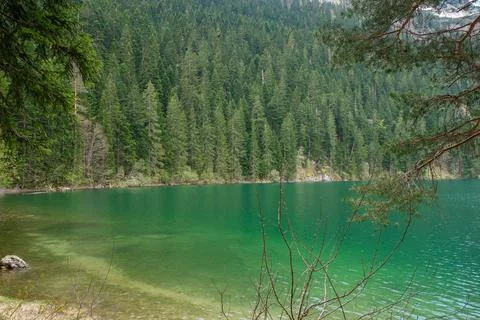 The Black lake surrounded by pine forest in Durmitor National Park, Zabljak Foto stock