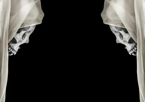 Black Landscape Format Background with Skulls Borders Decoration Stock Illustration