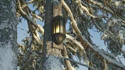 Black lantern light glowing on a snow covered evergreen tree in a winter Stock-Footage 330925550