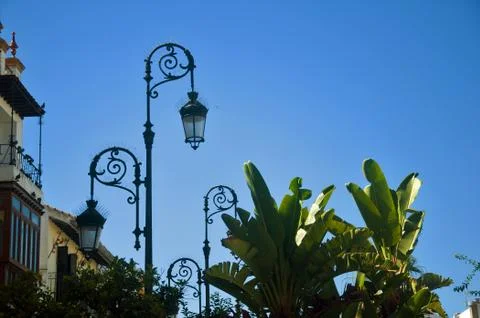 Black lanterns, palm trees and blue sky, summer day Stock Photos