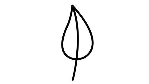 Black leaf drawn white Stock Footage 246861989