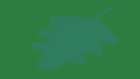Black leaf on green screen emotion gesture scene composition style design Video stock 335147388