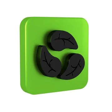 Black Leaf icon isolated on transparent background. Leaves sign. Fresh natu.. Stock Illustration