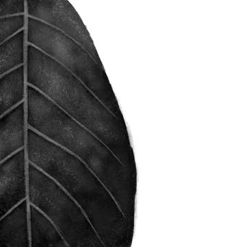 Black leaf illustration with brushes イラスト素材