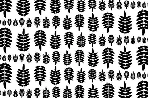 Black leaf of rowan on white background イラスト素材