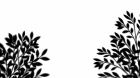 Black leaf shadow frame on a white background Video stock 319998951