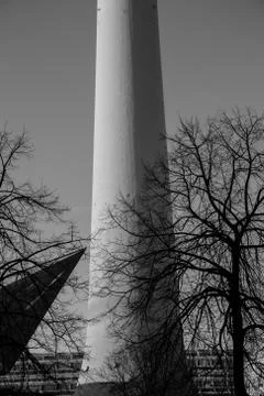 Black leafless trees silhouettes at the bottom of a tower Stock-Fotos
