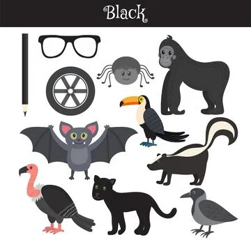 Black. Learn the color. Education set. Illustration of primary colors Stock Illustration