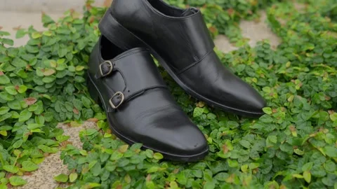 Black leather double monk strap groom shoes on green ivy leaves Vídeo Stock 345277252