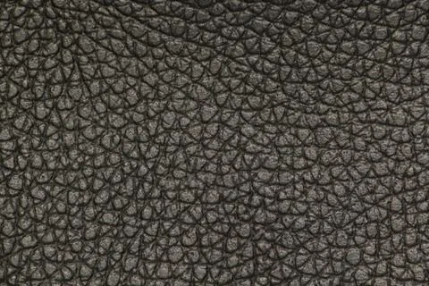 Black leather 写真素材